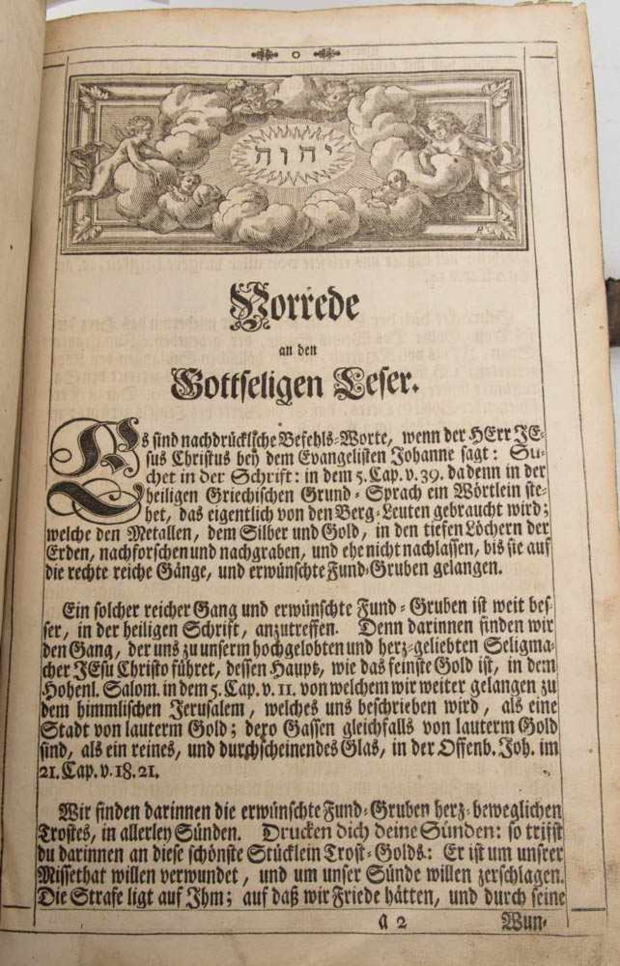 BIBLIA, altes und neues Testament, Nürnberg 1736.In Holz und Leder eingefasst, Spuren vom Holzwurm. - Bild 3 aus 8