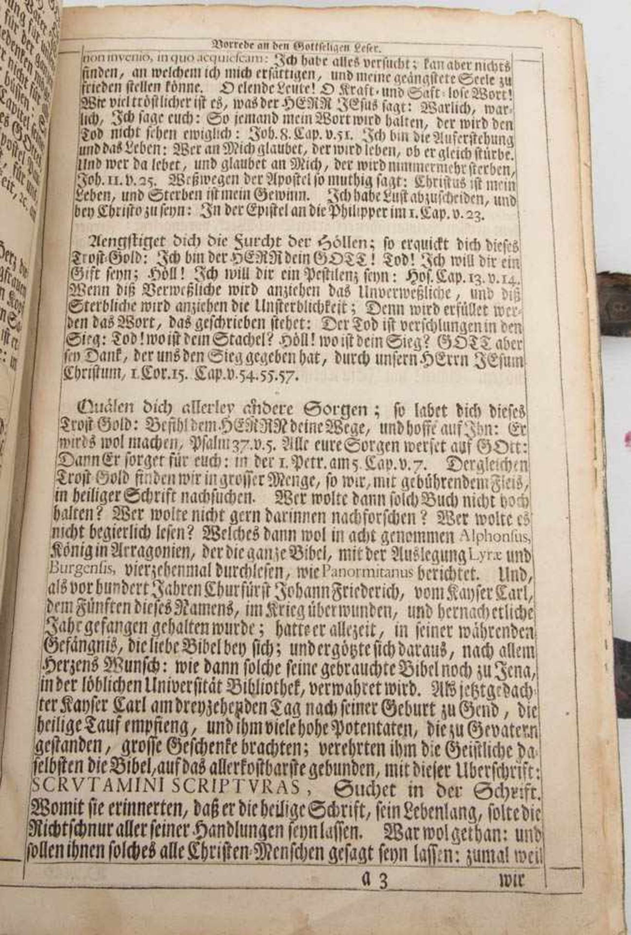 BIBLIA, altes und neues Testament, Nürnberg 1736.In Holz und Leder eingefasst, Spuren vom Holzwurm. - Bild 4 aus 8