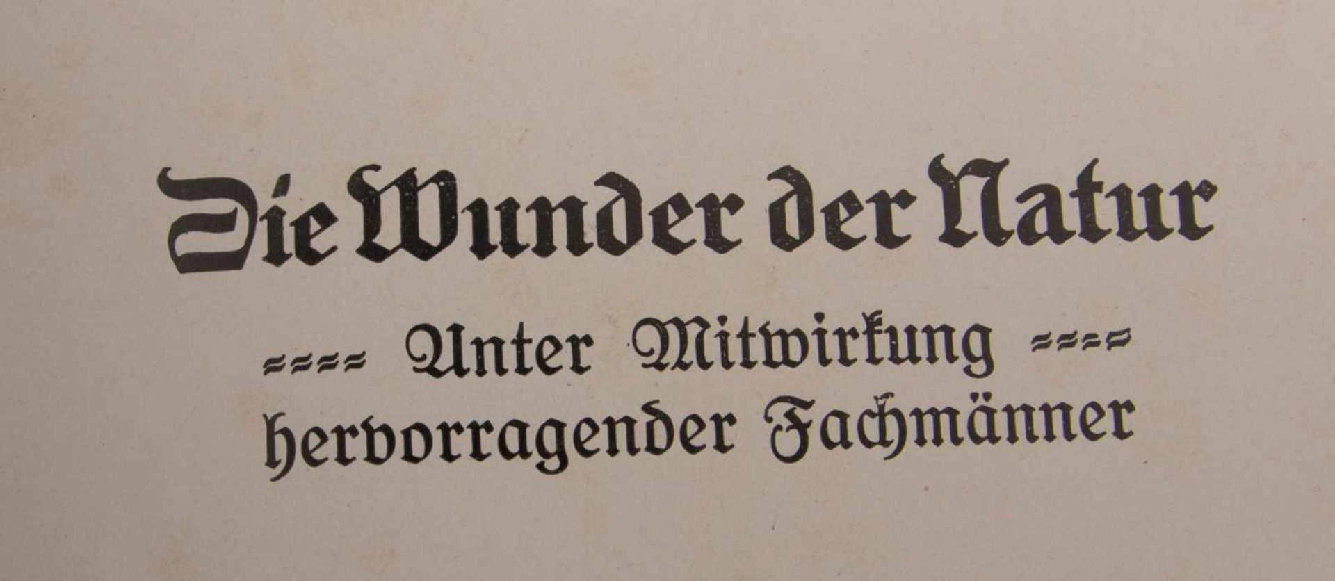 DIE WUNDER DER NATUR, Bnd. 1-3, Deutschland 1912.Originaleinband mit Schuber.23 x 28,5 cm - Bild 3 aus 4