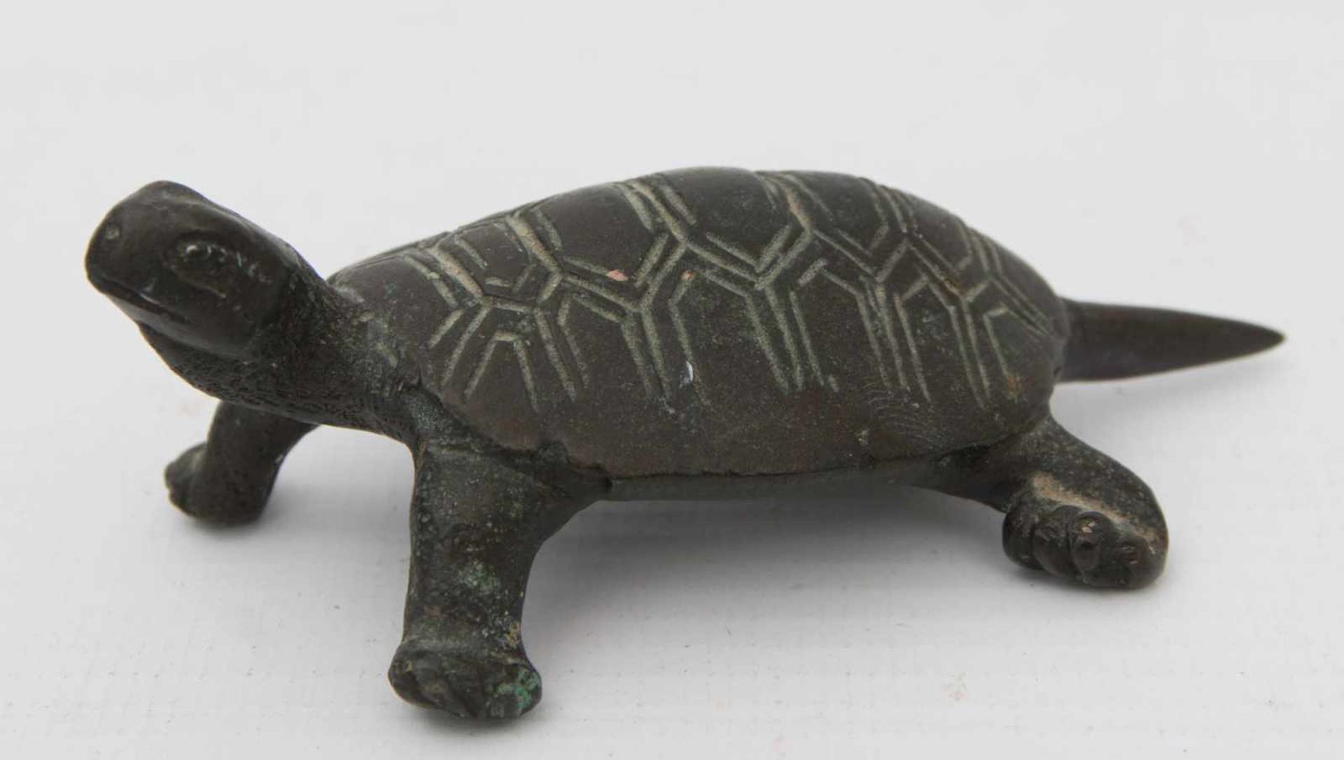 BRONZE EINER SCHILDKRÖTE, wohl China, 20. Jh.Sehr guter Zustand.8 cm