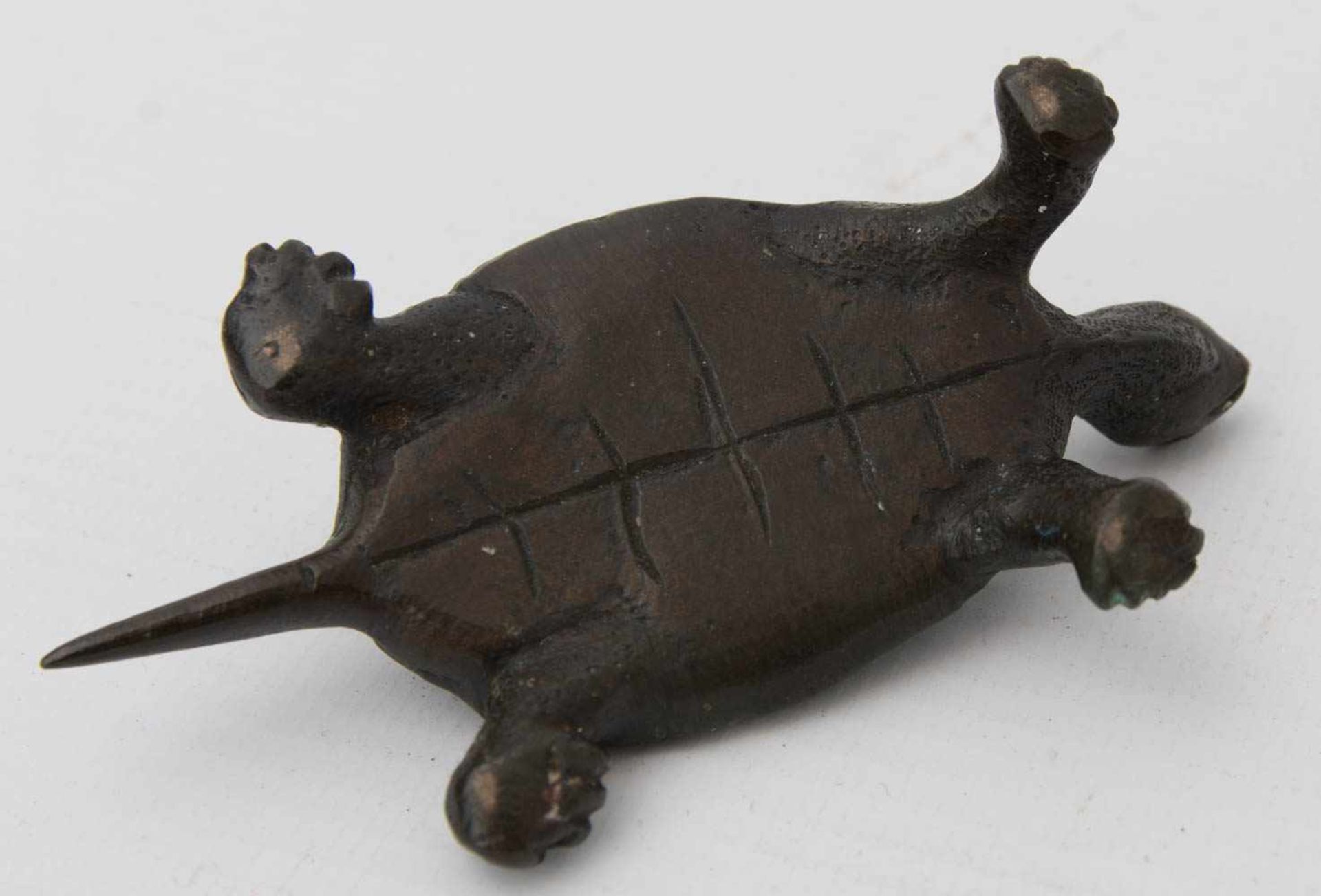 BRONZE EINER SCHILDKRÖTE, wohl China, 20. Jh.Sehr guter Zustand.8 cm - Bild 4 aus 4