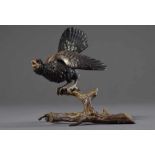 Wiener Bronze "Auerhahn auf Ast", verso Punze und bez. "KK", H. 9cmVienna Bronze ''Capercaillie on