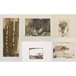 5 Diverse Janssen, Horst (1929-1995) "Natur" Radierungen, Griffelkunst, BM 30x22cm-49x63cm5