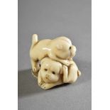 Kleines Elfenbein Netsuke "Zwei Mops Welpen", verso sign., H. 2,5cm, Riss/etwas beriebenSmall