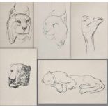 5 Diverse Ruwoldt, Hans Martin (1891-1969) "Tiere": 2 Panther, 2 Luchse und 1 Strauß",