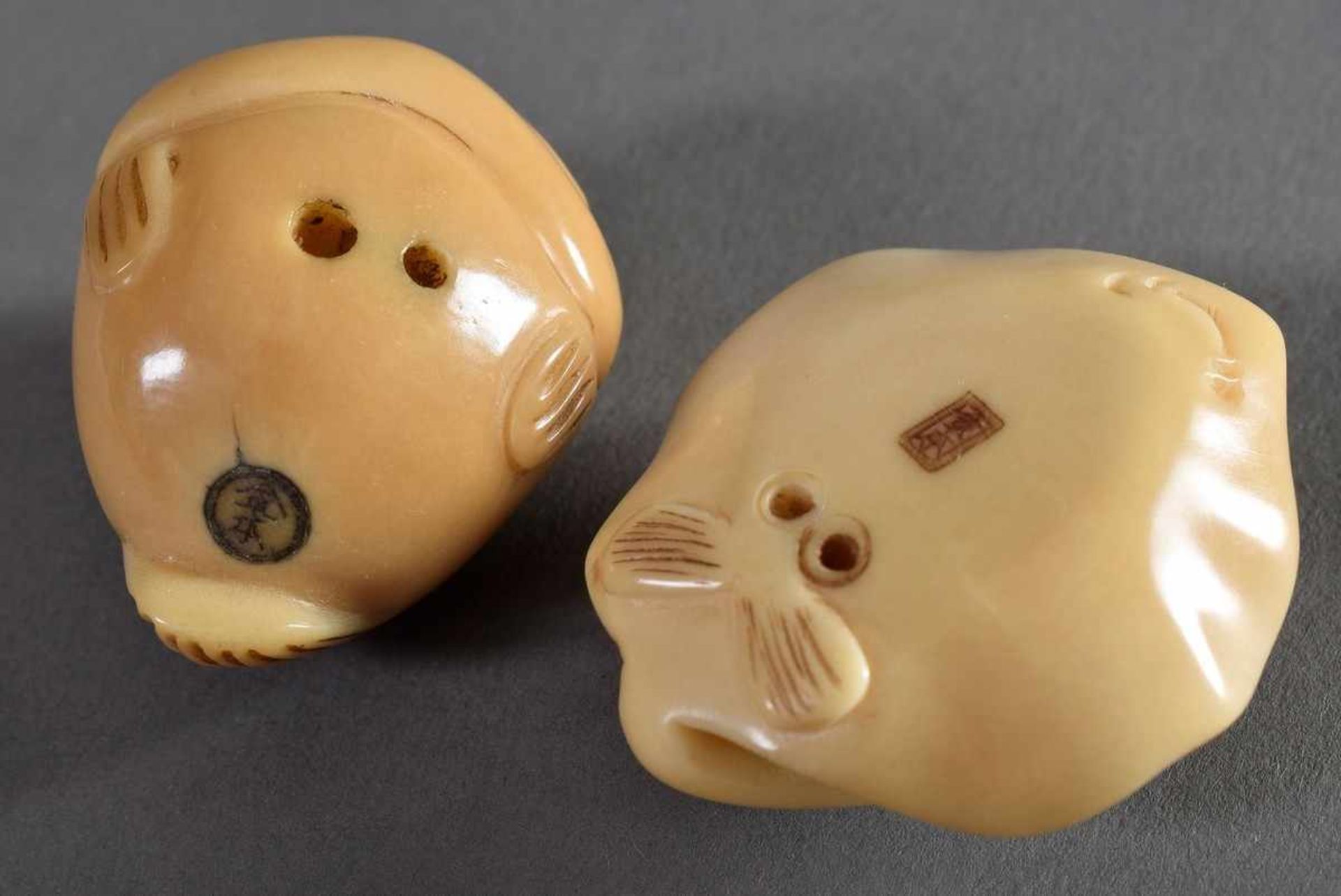 2 Diverse Katabori Netsuke "Fugu" und "Rochen", Tagua Nuss mit eingelegten Horn Augen, sign., - Bild 2 aus 4