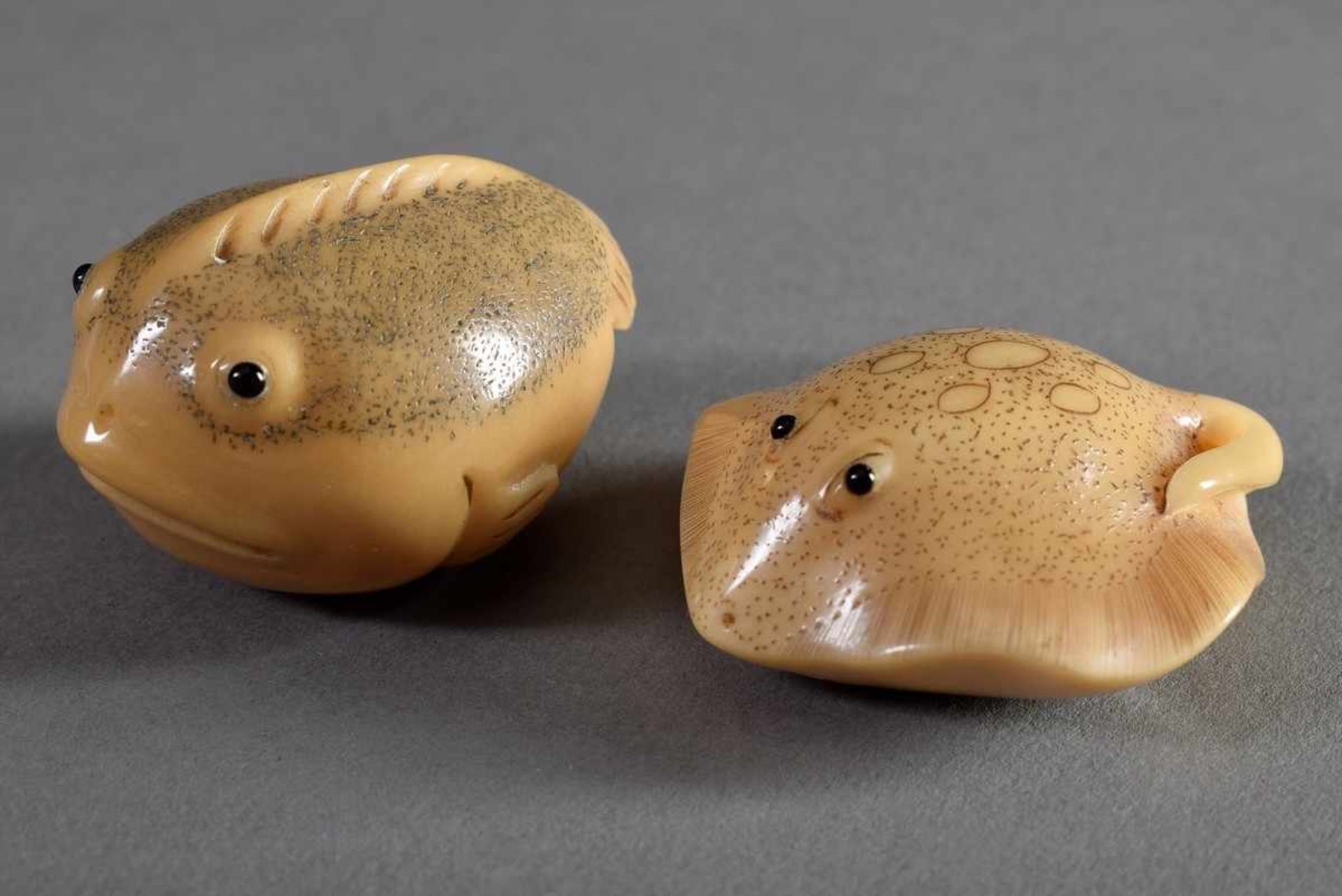 2 Diverse Katabori Netsuke "Fugu" und "Rochen", Tagua Nuss mit eingelegten Horn Augen, sign.,