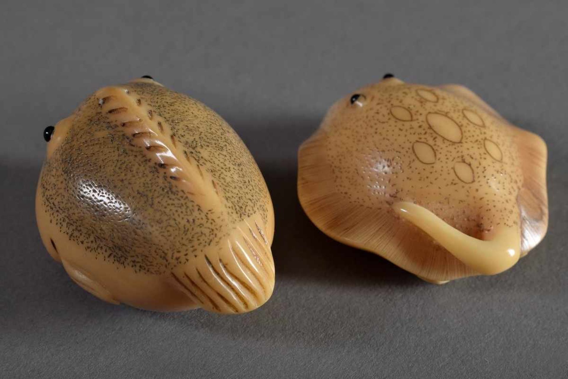 2 Diverse Katabori Netsuke "Fugu" und "Rochen", Tagua Nuss mit eingelegten Horn Augen, sign., - Bild 3 aus 4