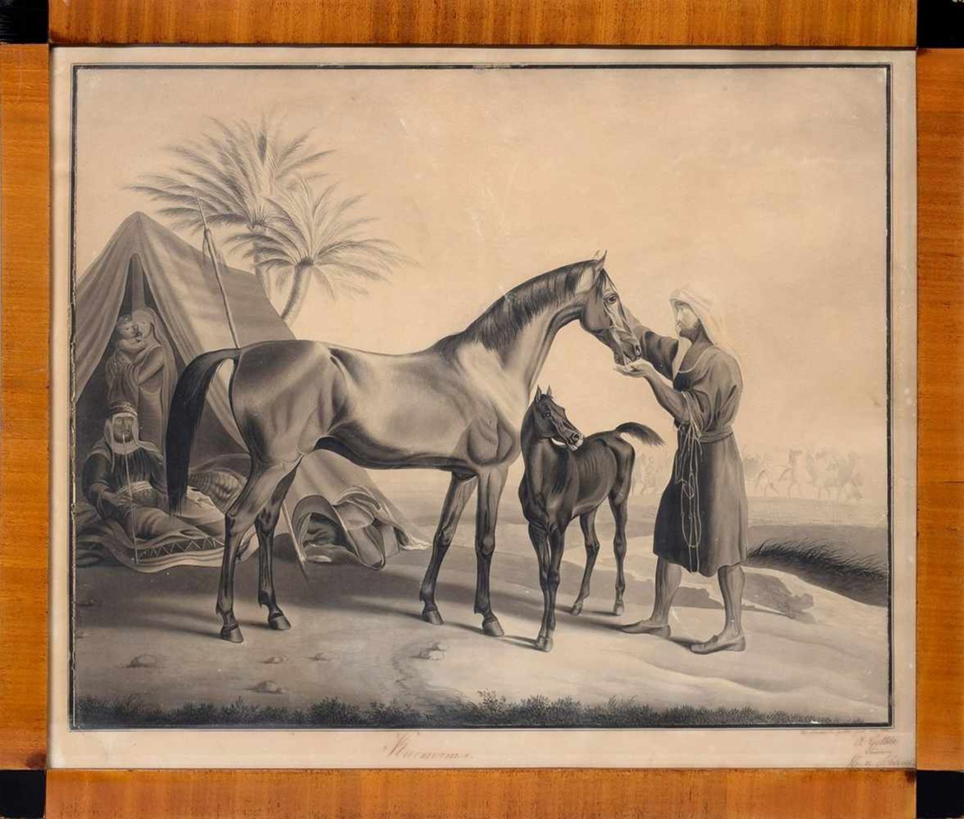 Gelbke, Otto/Schack H. v. "Kaimanka" (Araberpferd) 1842, Tusche/Papier, u.r. sign./dat., 39,