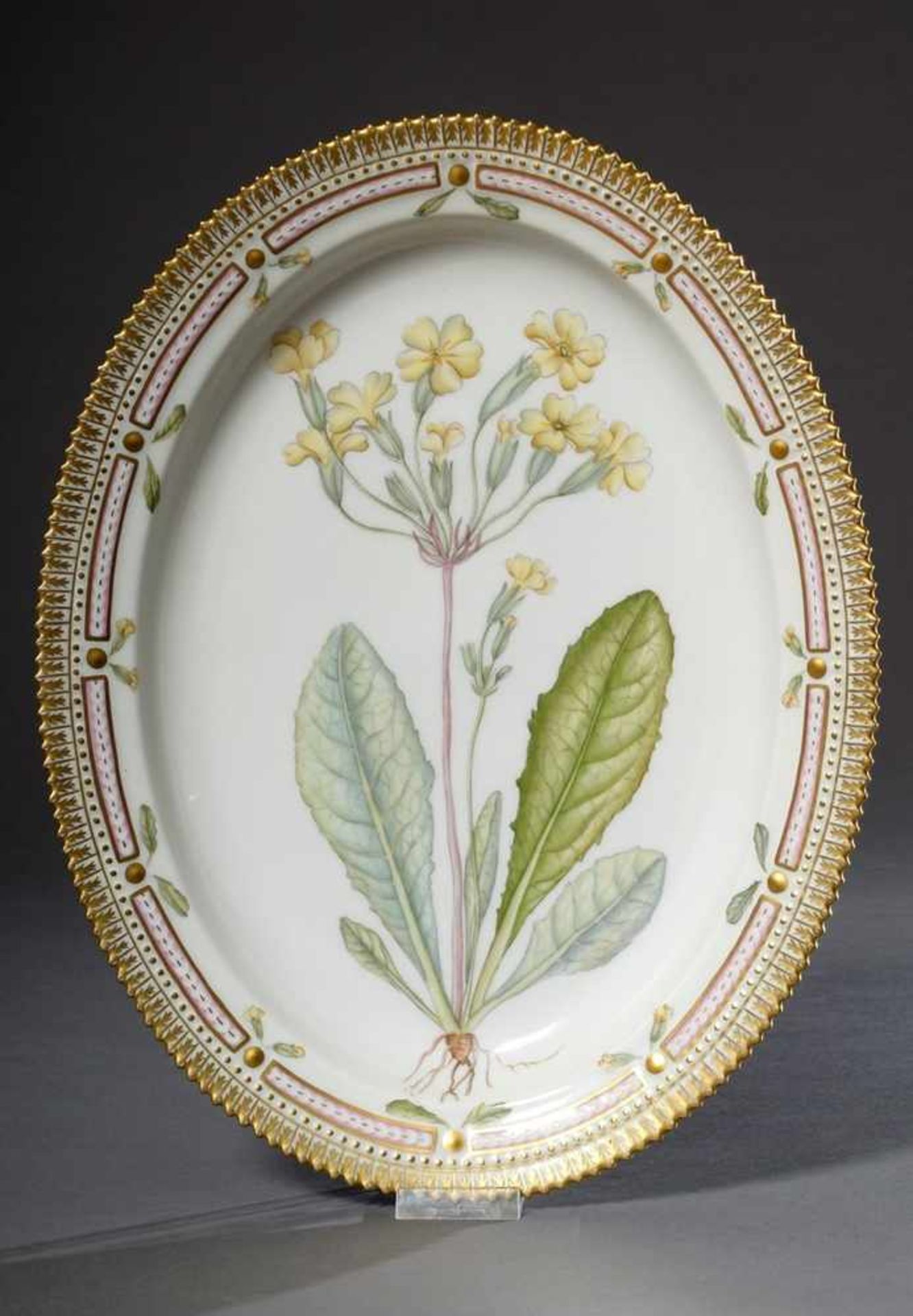 Ovale Royal Copenhagen Platte "Flora Danica - Primula variabilis Gaup", farbig bemalt mit