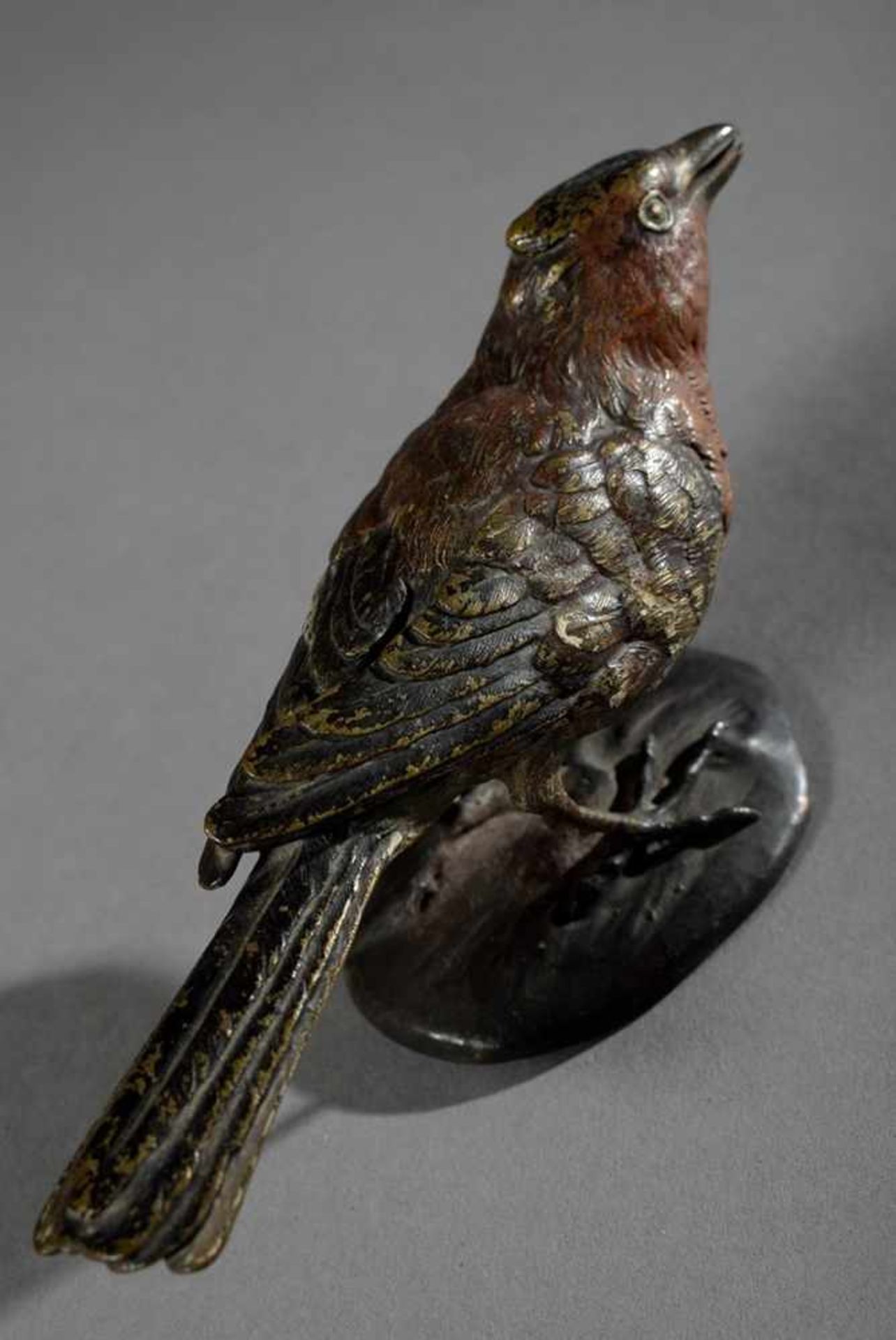 Wiener Bronze "Buchfink", Bergmann Stempel, Modellnr. 4360, H. 6,5cm, verbogen, beriebenViennese - Bild 4 aus 5