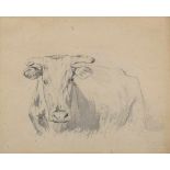 Herbst, Thomas (1848-1915) "Liegende Kuh", Bleistiftzeichnung/Papier, Nachlass Prägestempel, 15x19cm