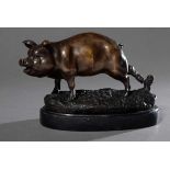 Baryé, Antoine Louis (1796-1875) "Schwein", Bronze auf schwarzer Marmorplinthe, signiert, H. 17,