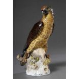 Porzellan Figur „Thurm Falke, auf Baumstumpf sitzend“, Ende 19.Jh., Sächsische Porzellanfabrik zu