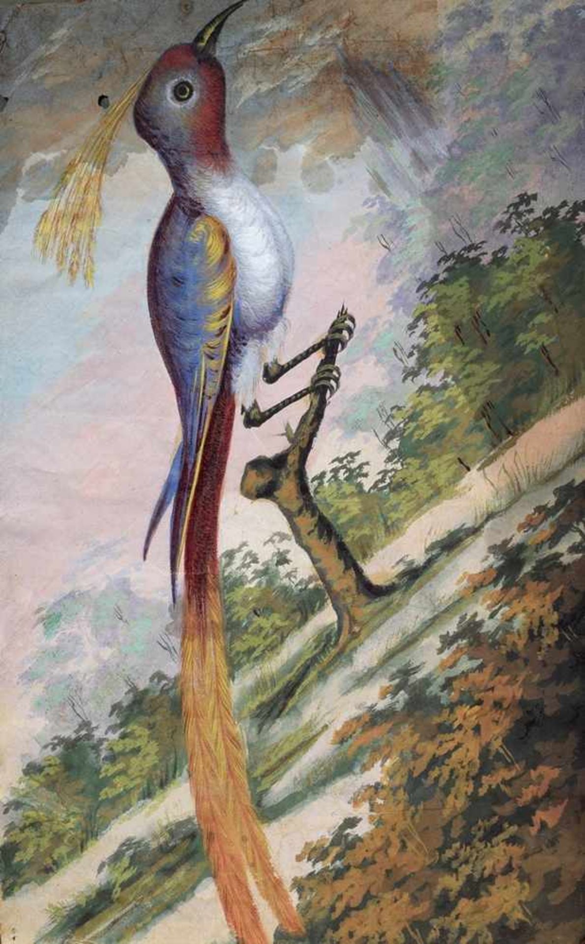Gerahmtes Tapetenfragment „Paradiesvogel“, Mischtechnik/Papier, 2. Hälfte 19.Jh., 38,5x24cm (m.R. - Bild 2 aus 2