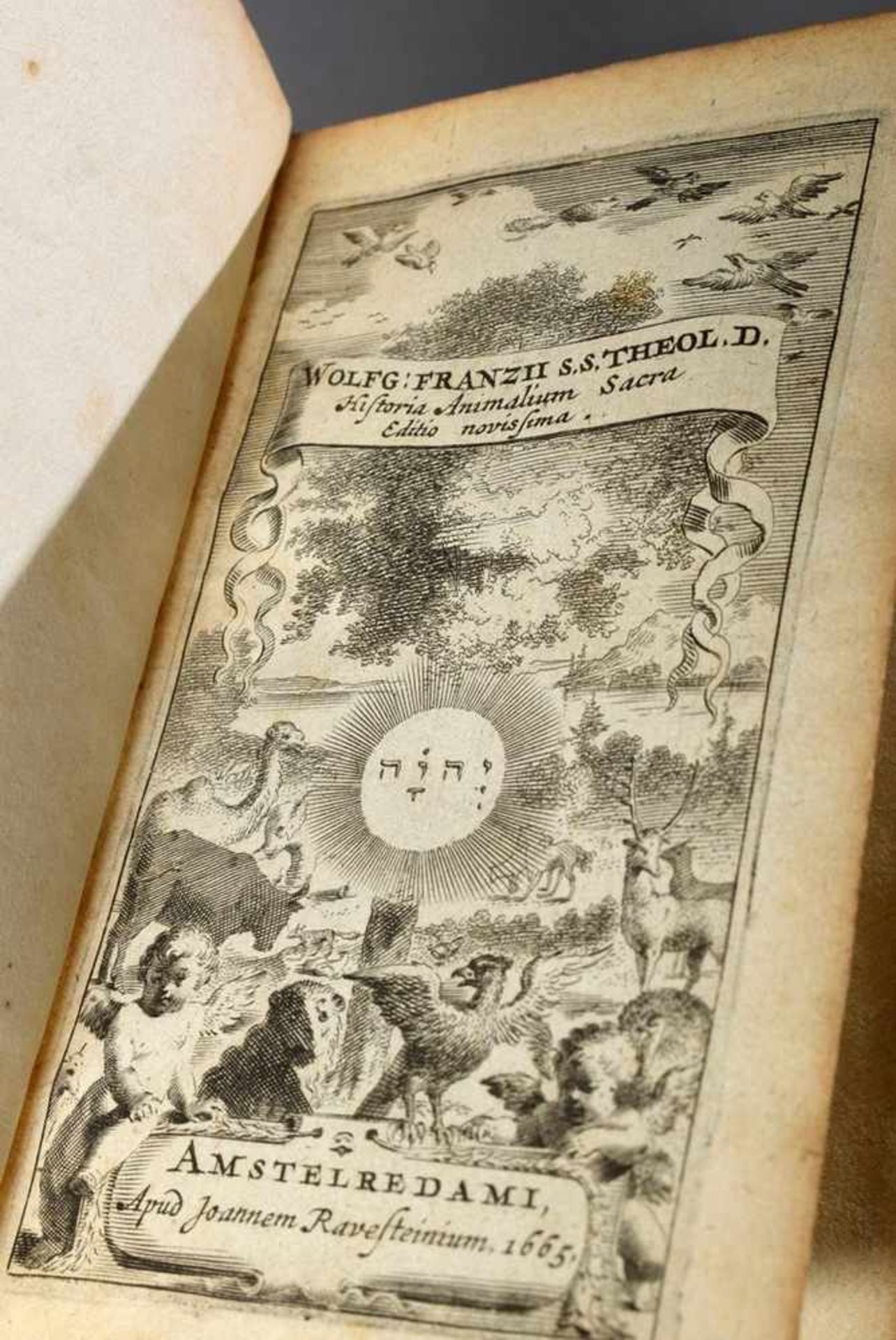 Band Franz, Wolfgang (1564-1628) "Historia animalium: in qua plerorumque Animalium praecipuae - Image 3 of 3