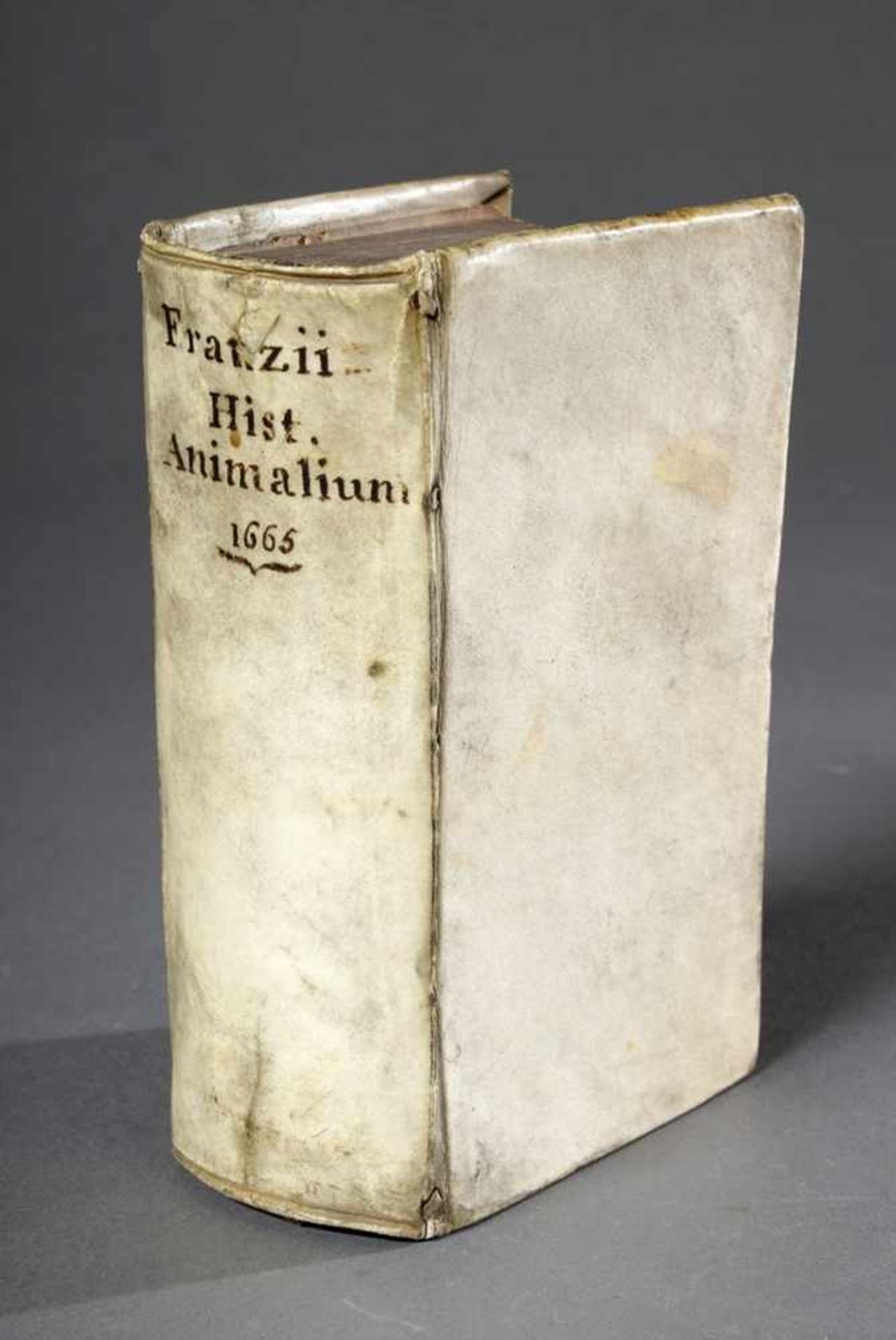 Band Franz, Wolfgang (1564-1628) "Historia animalium: in qua plerorumque Animalium praecipuae - Bild 2 aus 3