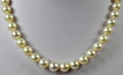 SÜDSEEPERLENKETTE 41 gleichmässig sortierte weisse, runde Perlen D 10mm mit schönem Lüster,