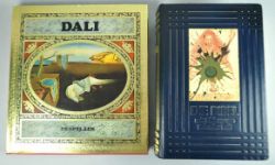 DALI SALVADOR, zwei Bücher: "Die Bibel" mit Bildern von Salvador Dali, Weltbild-Verlag, 1067, 273,