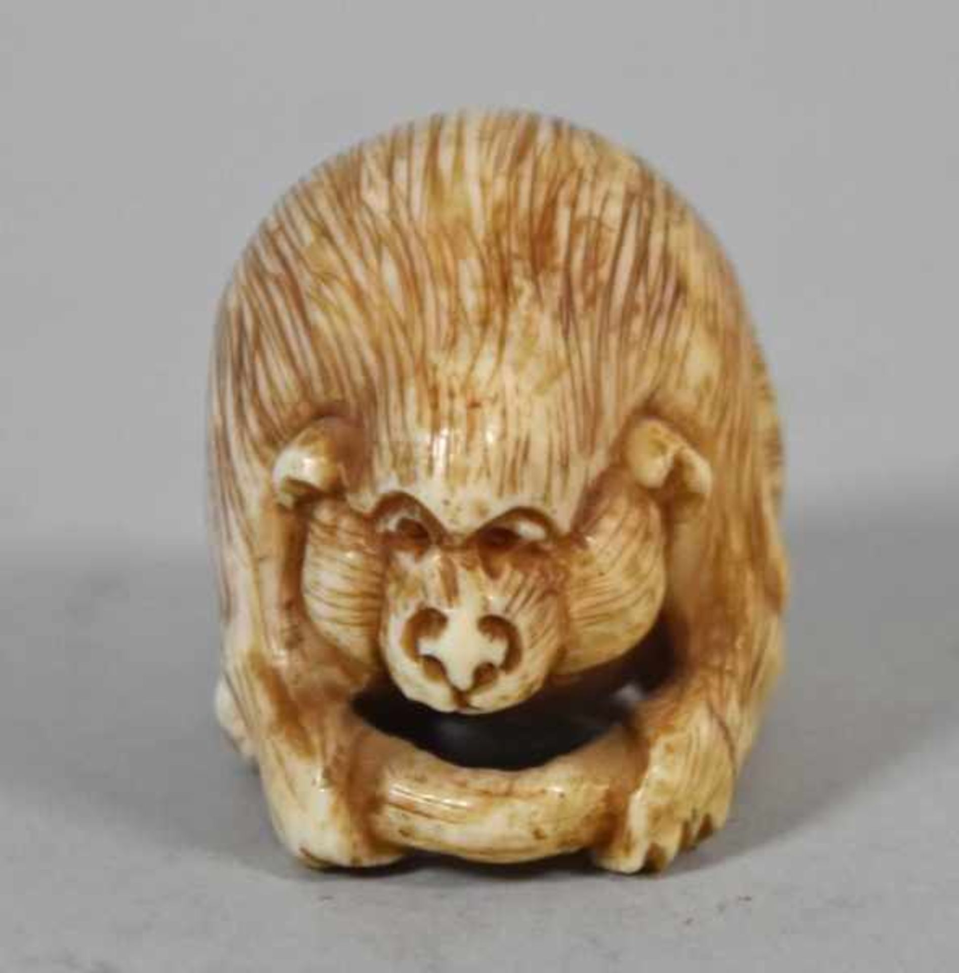 NETSUKE als Ratte, sich den Schwanz haltend, signiert, Bein, H 3cm