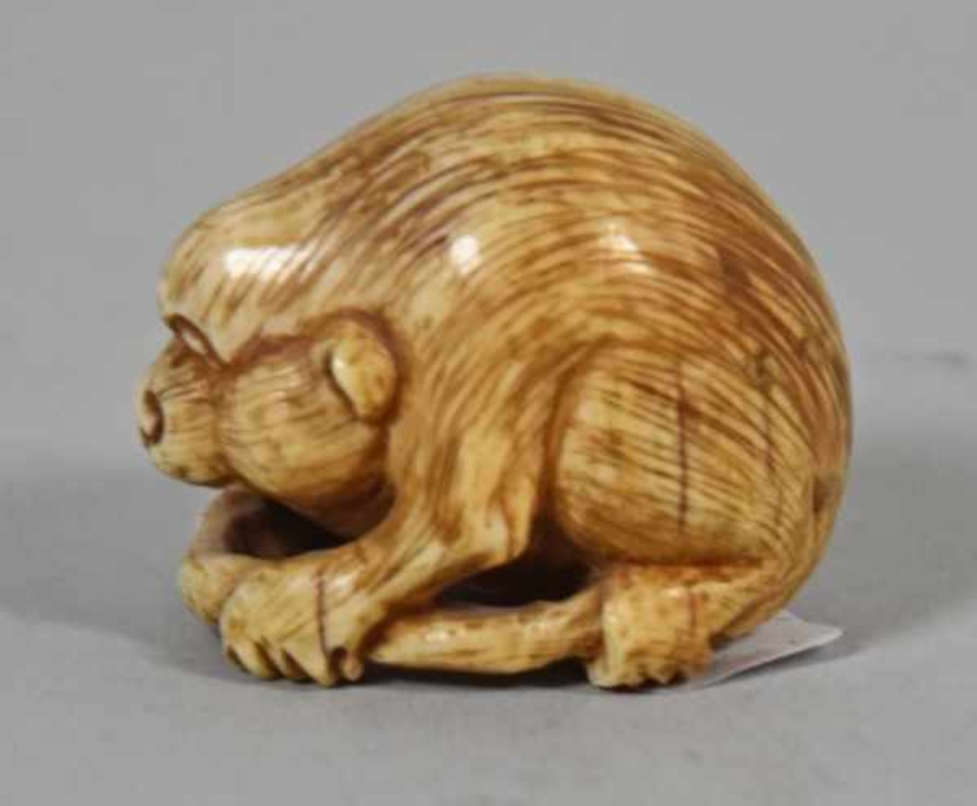 NETSUKE als Ratte, sich den Schwanz haltend, signiert, Bein, H 3cm - Bild 3 aus 3