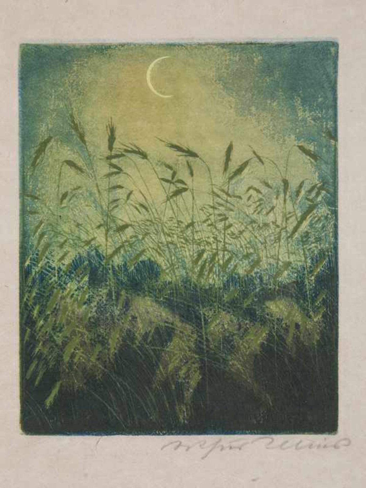 Illies, Arthur (1870 - 1952/53). Farbaquatintaradierung, "Getreide und Gräser mit Mondhimmel", unten - Image 2 of 4