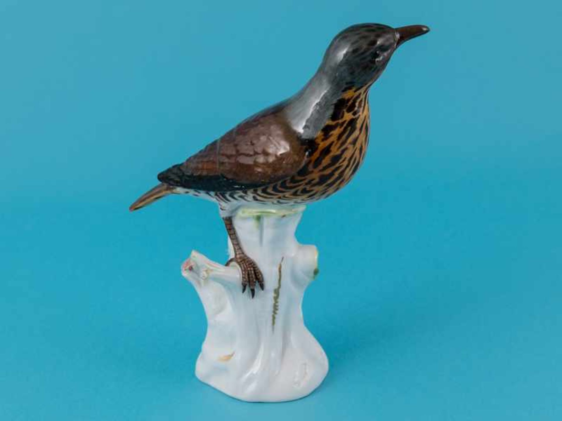 Vogelfigur Wacholderdrossel (Turdus pilaris); Entwurf: Joh. Joachim Kändler (1706-1775); Meissen, um - Image 2 of 8