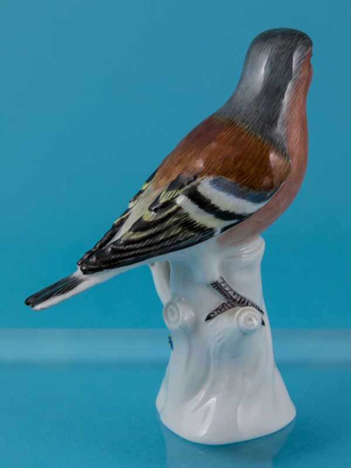 Vogelfigur "Buchfink" (Fringilla coelebs) nach links schauend; Entwurf: Joh. Joachim Kändler (1706- - Bild 6 aus 8