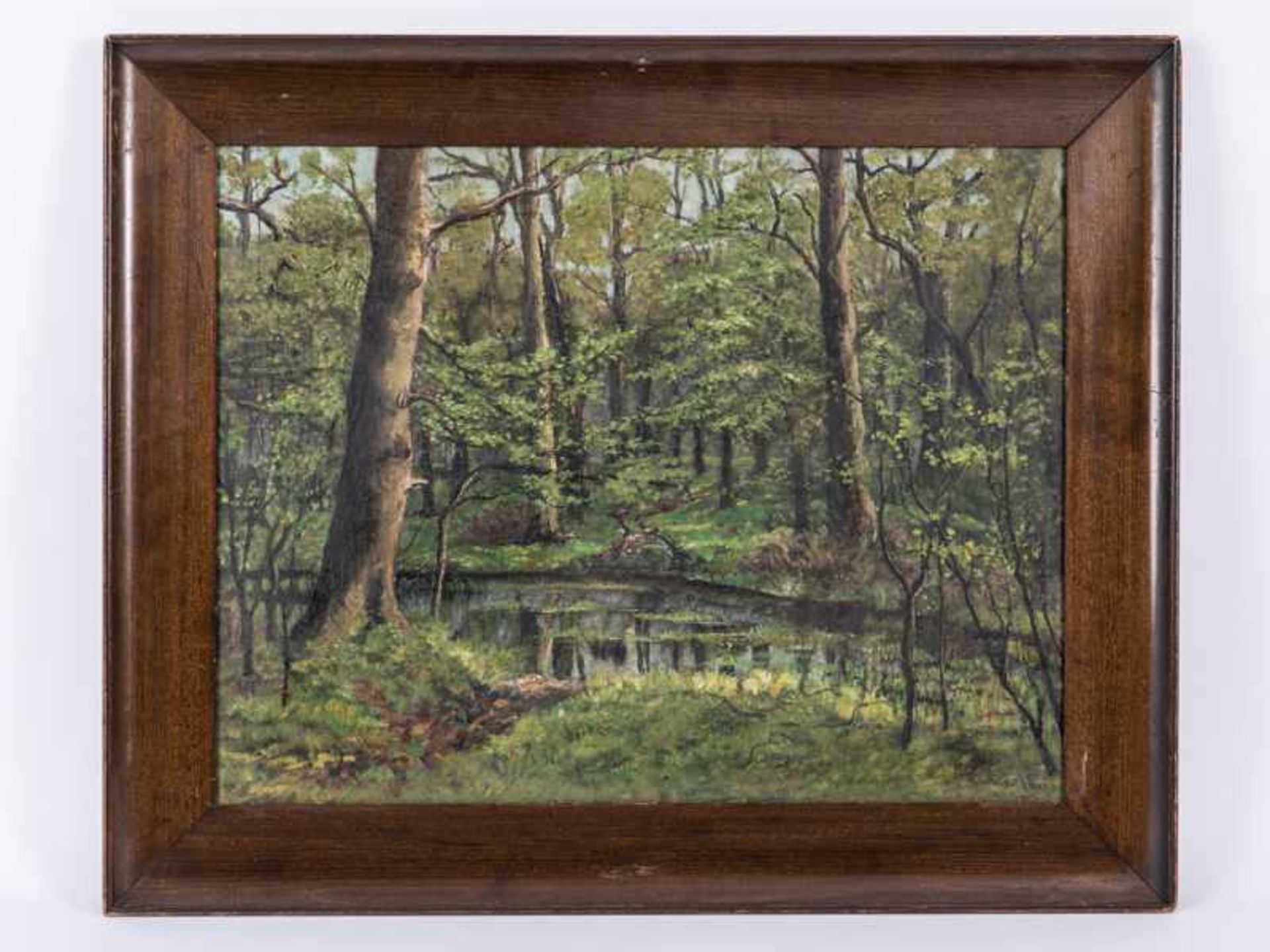 Höckner, Rudolf (1864 - 1942). Öl auf Leinwand/doubliert auf Karton, "Waldlandschaft im Frühling",