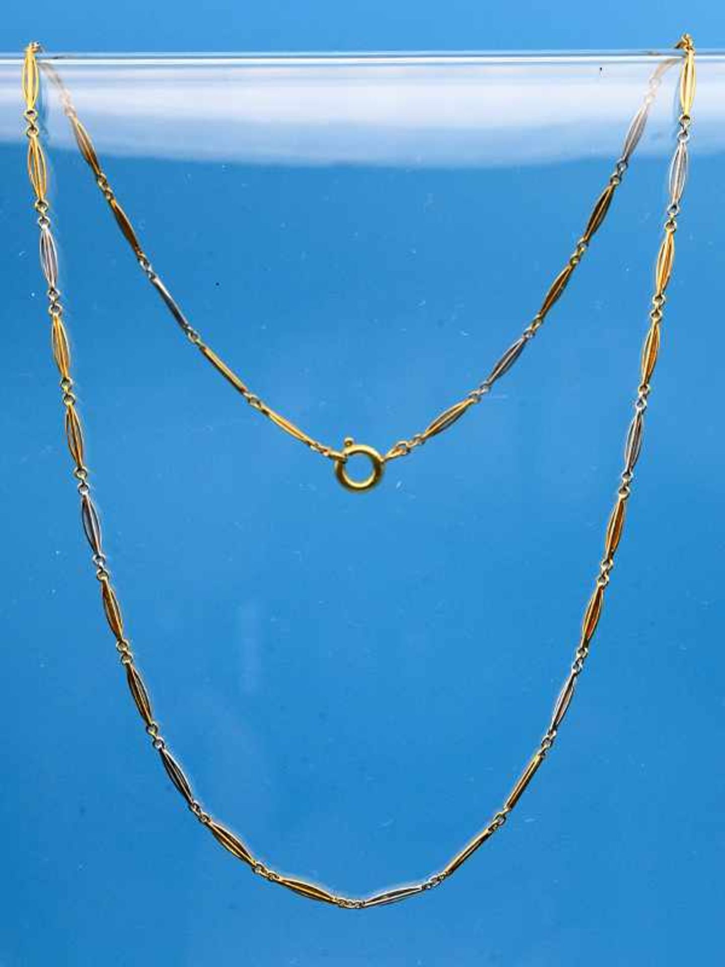 Feines Collier aus Platin und Gelbgold, um 1900 Platin und 585/- Gelbgold. Gesamtgewicht ca. 6,1