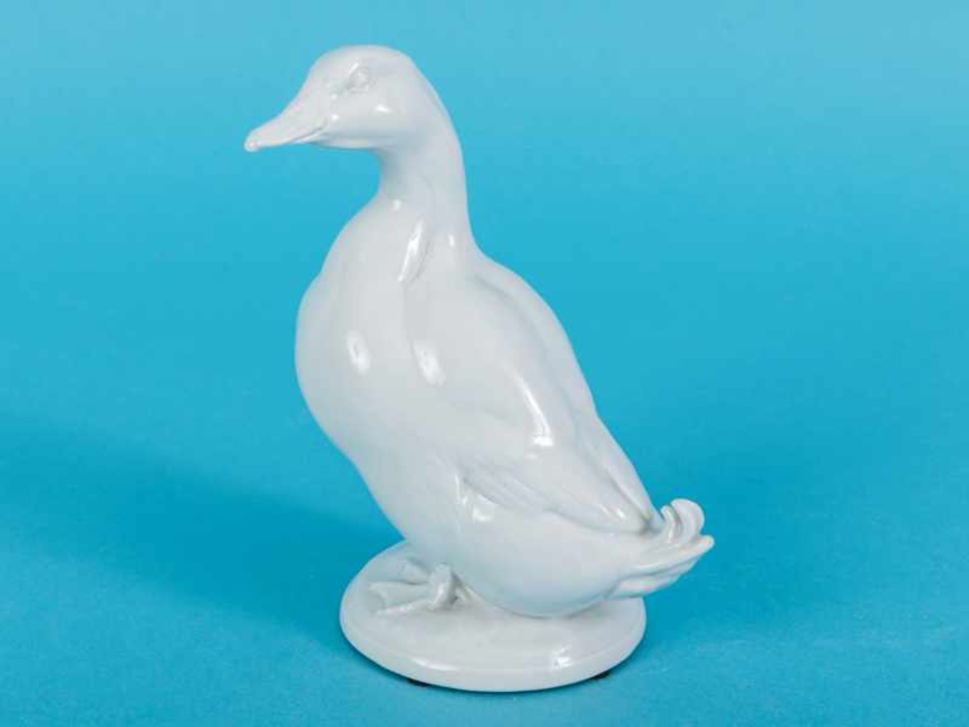 Tierfigur "Erpel", Entwurf Erich Oehme, Meissen, 1987 (2. Wahl). Weißporzellan; auf rundem gewölbten