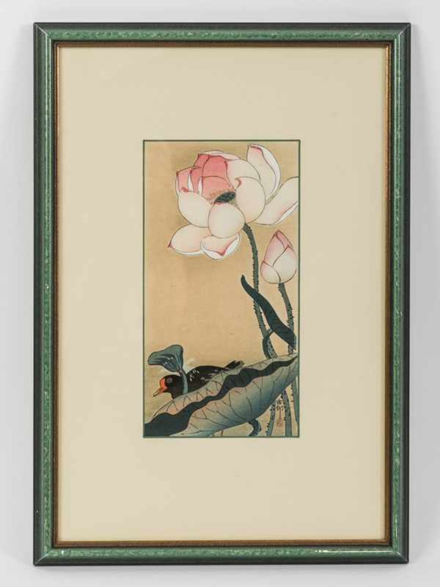 Ohara, Koson - später auch Shoson (1877-1945). "Teichhuhn und Lotusblüte", Farbholzschnitt, Anfang