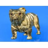 Brosche "englische Bulldogge" mit kleinen Rubinen, Juweliersarbeit, 20. Jh. 750/- Gelbgold.