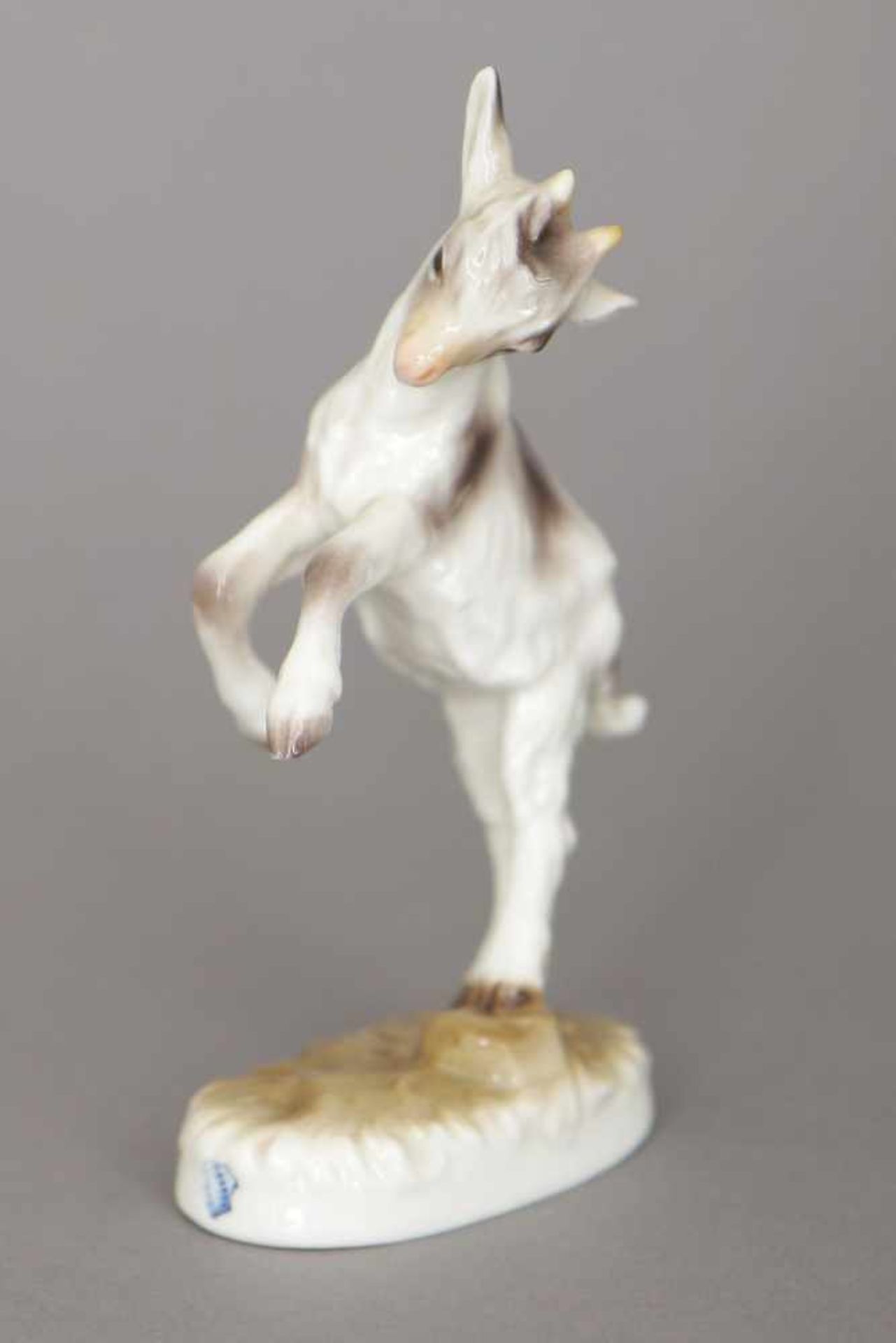 NYMPHENBURG Porzellanfigur ¨Zicklein¨farbig staffiert, H ca. 14cm - Bild 2 aus 3