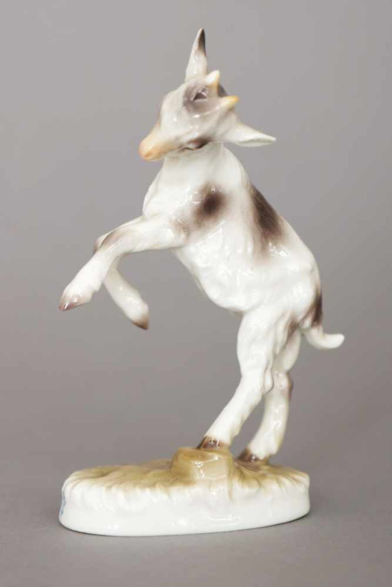 NYMPHENBURG Porzellanfigur ¨Zicklein¨farbig staffiert, H ca. 14cm