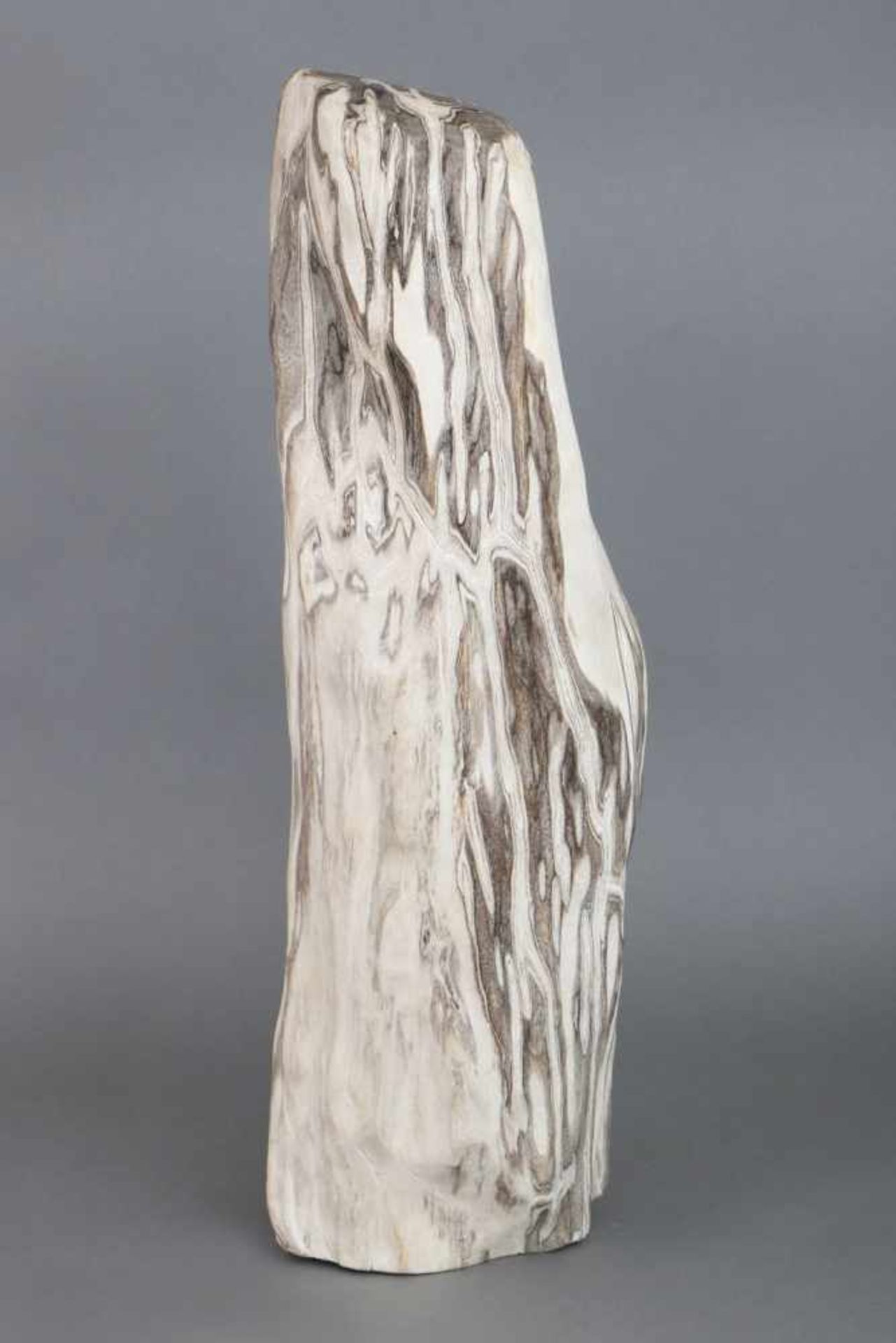 Versteinerter Baumstammpolierter Stein mit schwarz-weißer Maserung, L ca. 60cm