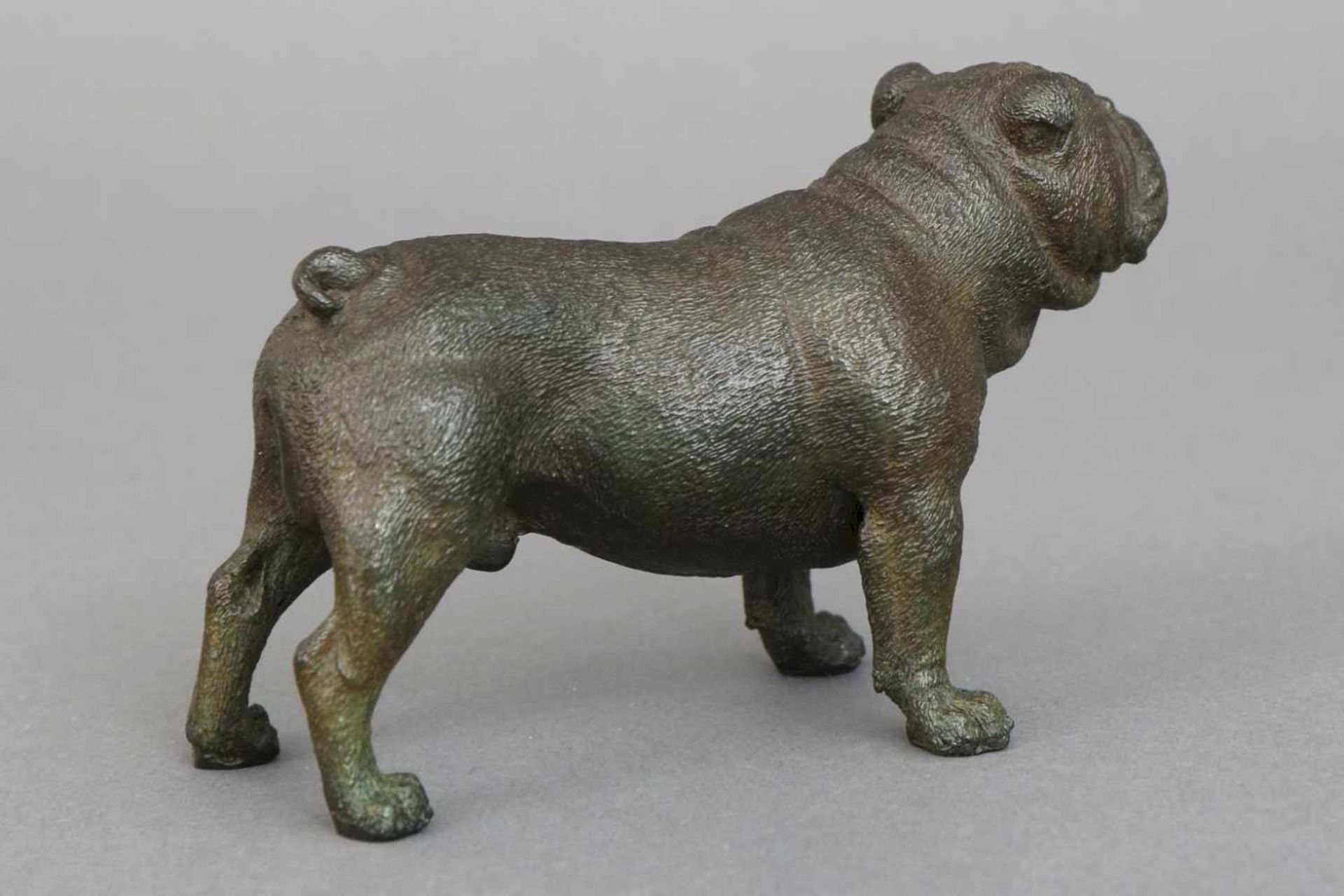 Wiener Bronzewohl um 1920, ¨Bulldogge¨, naturalistische Figur mit schwarzer Painierung, am Boden - Bild 2 aus 3
