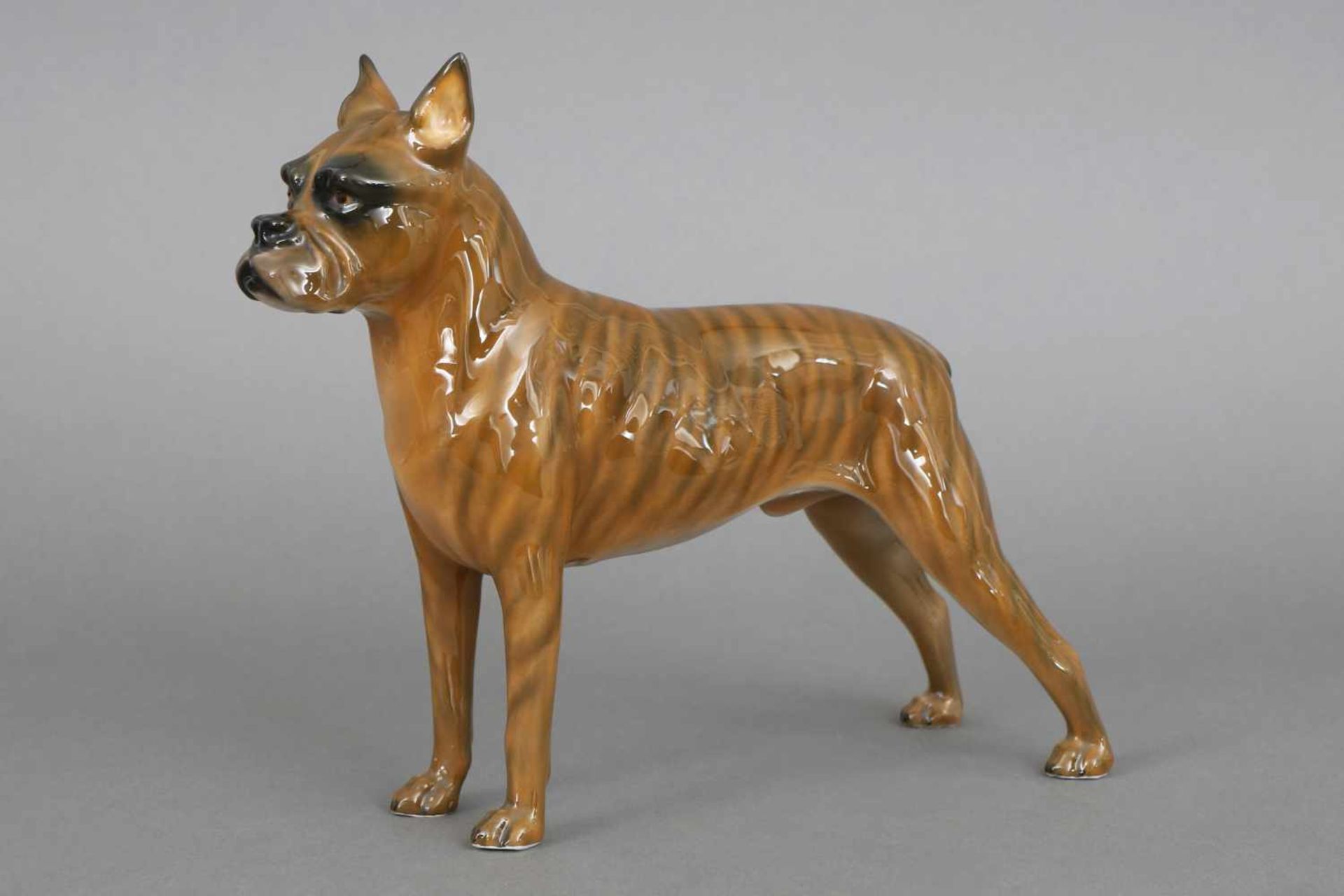 ROSENTHAL Porzellanfigur ¨Boxer¨ (stehender Hund)um 1980, naturalistische Farbbemalung, am Boden ¨