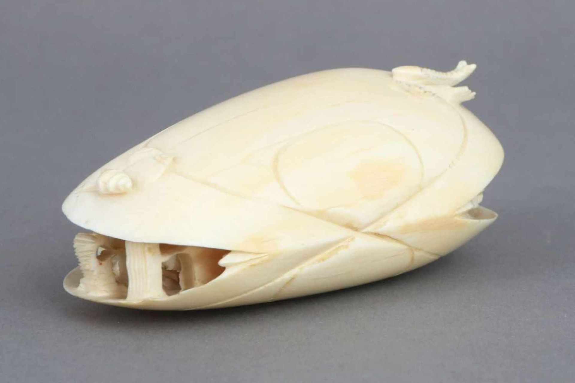 Asiatisches Okimono, Elfenbeinmuschelförmige Schnitzerei, im Inneren der Muschel hochfeine, - Bild 3 aus 3