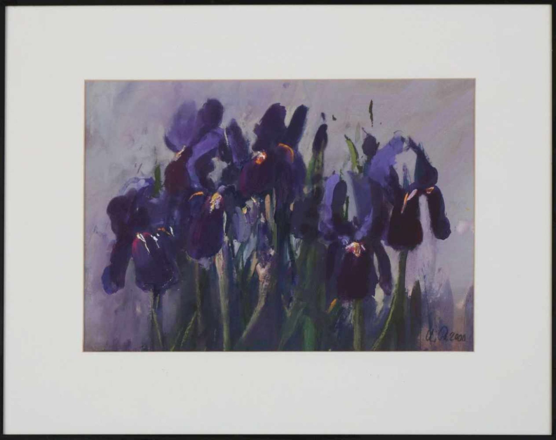 ULF PETERMANN (1950 Brunsbüttel)Öl auf Papier (auf Pappe montiert), ¨Iris Germanica¨ (verso