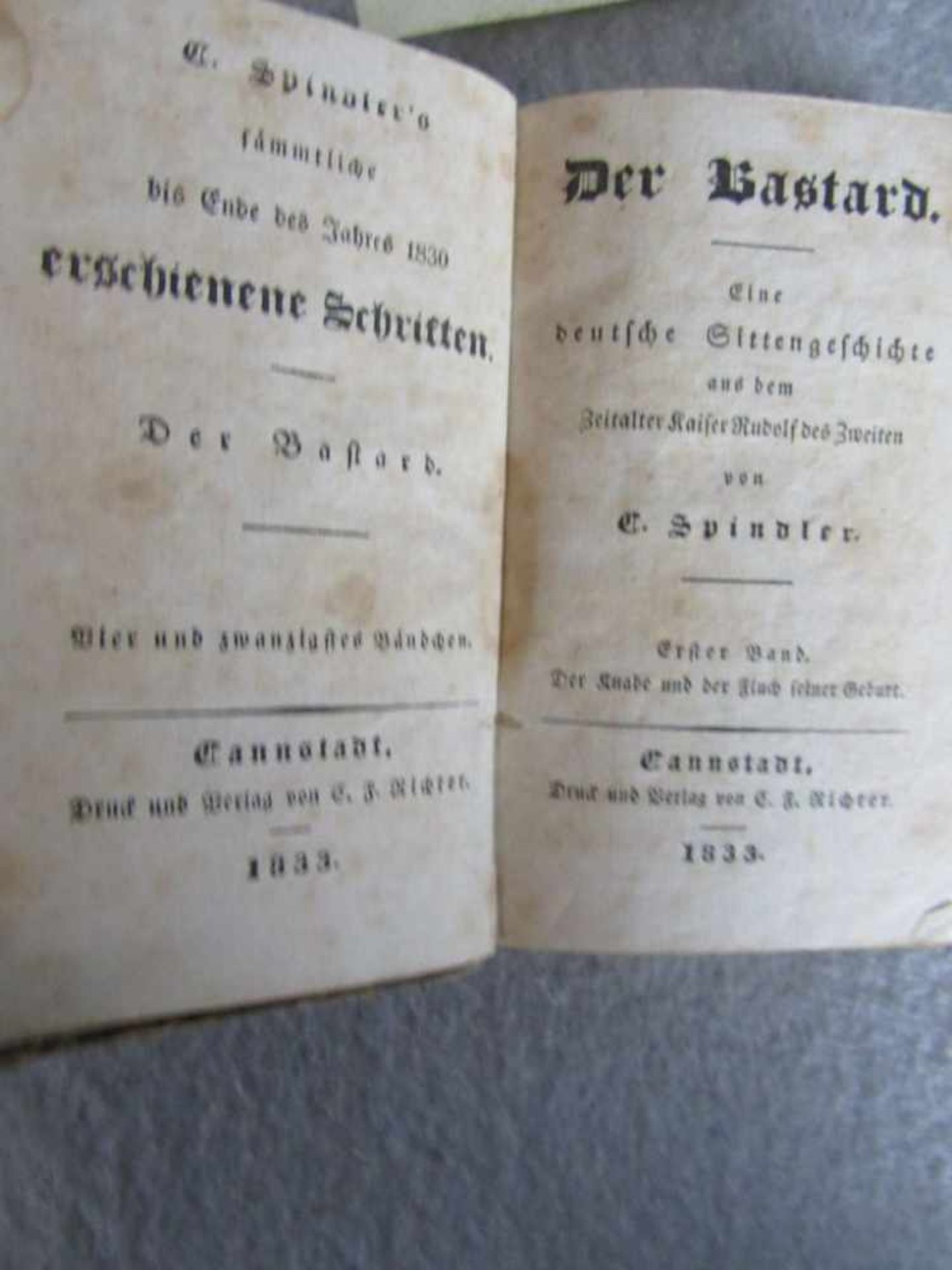 Antikes Buch der Bastard eine Deutsche Sittengeschichte von 1833 - Bild 2 aus 3