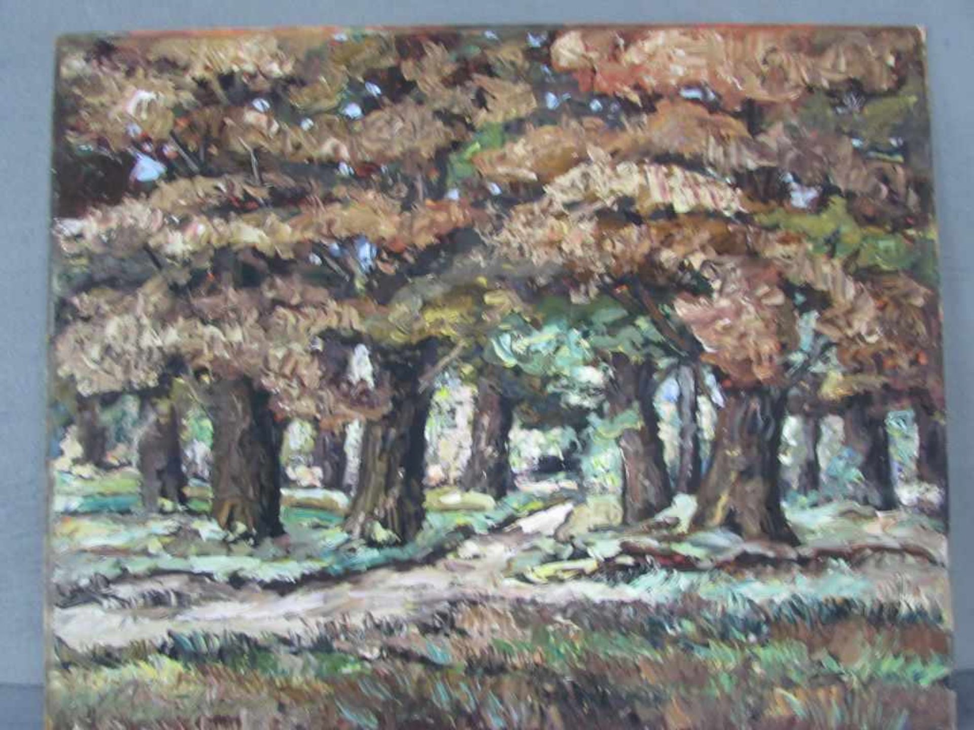 Ölgemälde Öl auf HF Rauenburg o.ä signiert .Wald im Herbst in Misch- bzw. Spachteltechnik 75X63cm