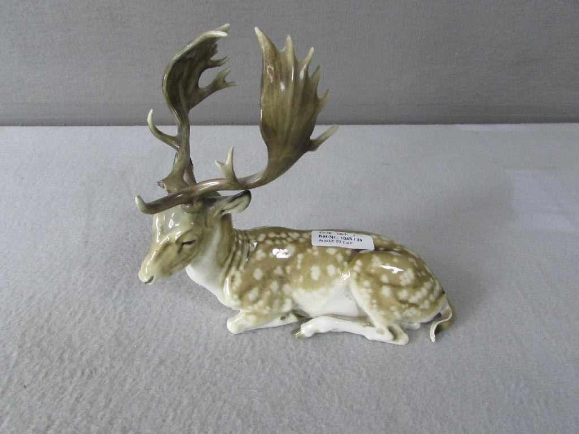 Porzellanfigur Hirsch Hutschenreuther 24cm lang bestoßen - Image 2 of 4