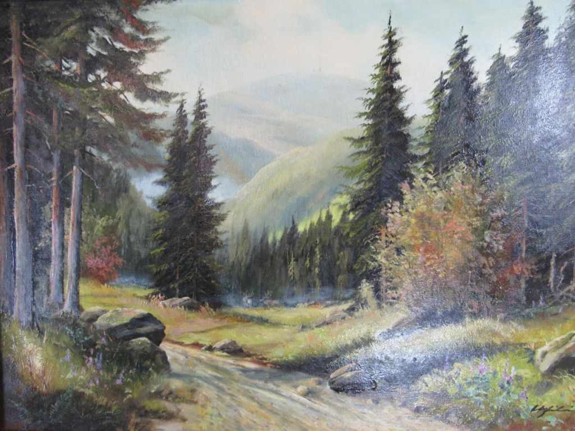 Gemälde Brocken Harz Öl auf Leinwand unleserlich signiert 70x50cm - Image 3 of 4