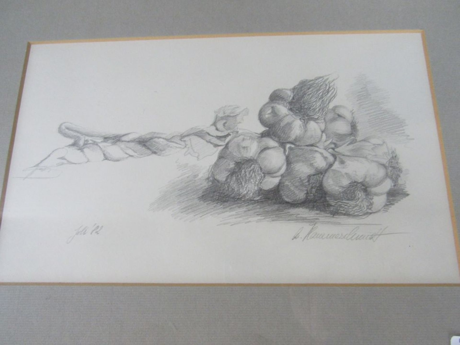 2 Zeichnungen Gemüse signiert 44x59cm und 48x34,5cm - Bild 3 aus 3