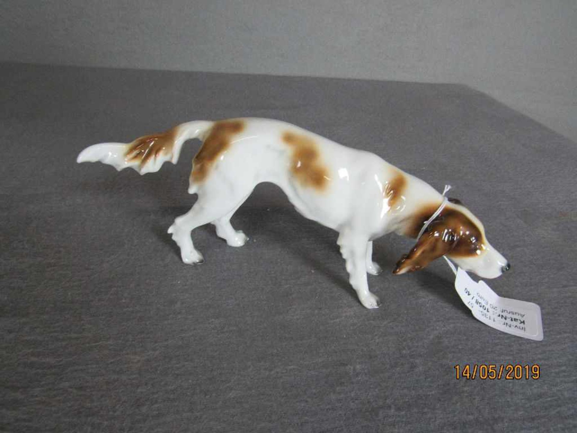Porzellanfigur Jagdhund gemarkt 21,5cm lang