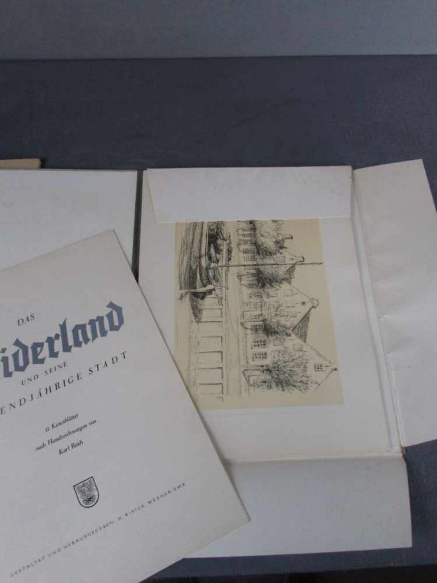 Kunstmappe, 12 Kunstblätter nach Handzeichnung von Karl Reich, "Das Rheiderland und seine - Bild 2 aus 2