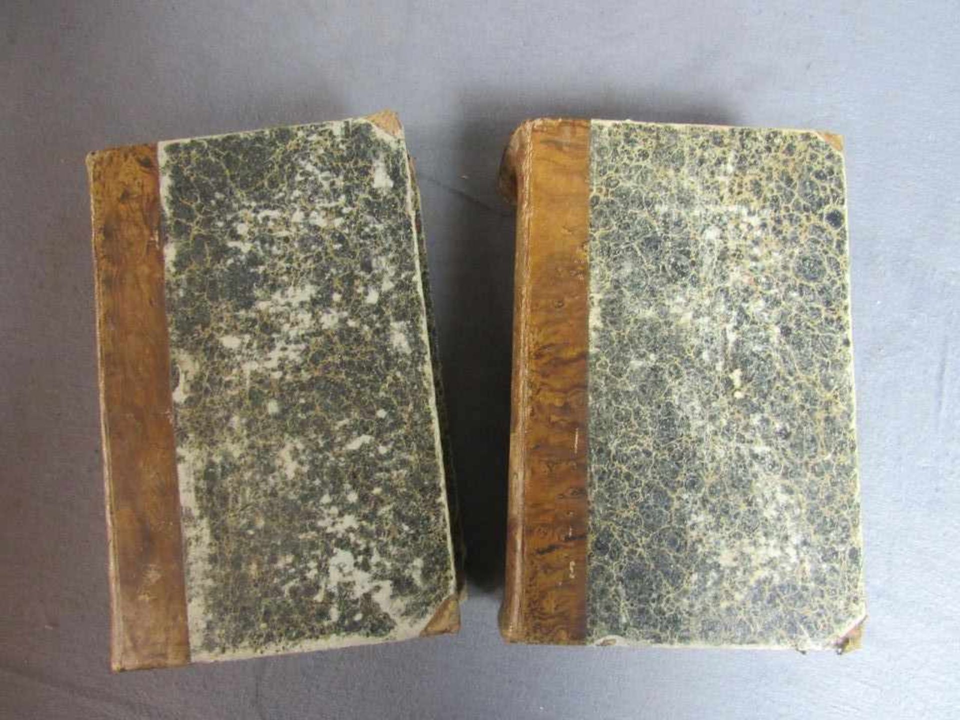 Zwei antike Wörterbücher Griechisch Deutsch von 1819 Wien Riemer- - -20.00 % buyer's premium on