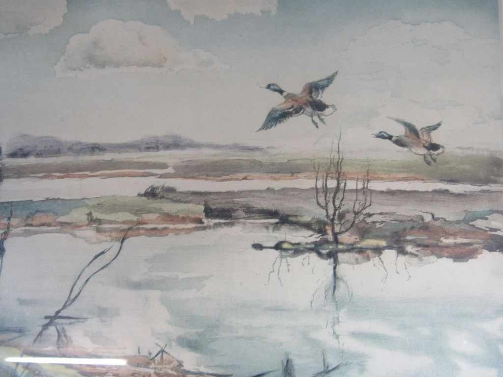 Aquarell steigende Enten im Herbst unleserlich signiert 50X60CM- - -20.00 % buyer's premium on the