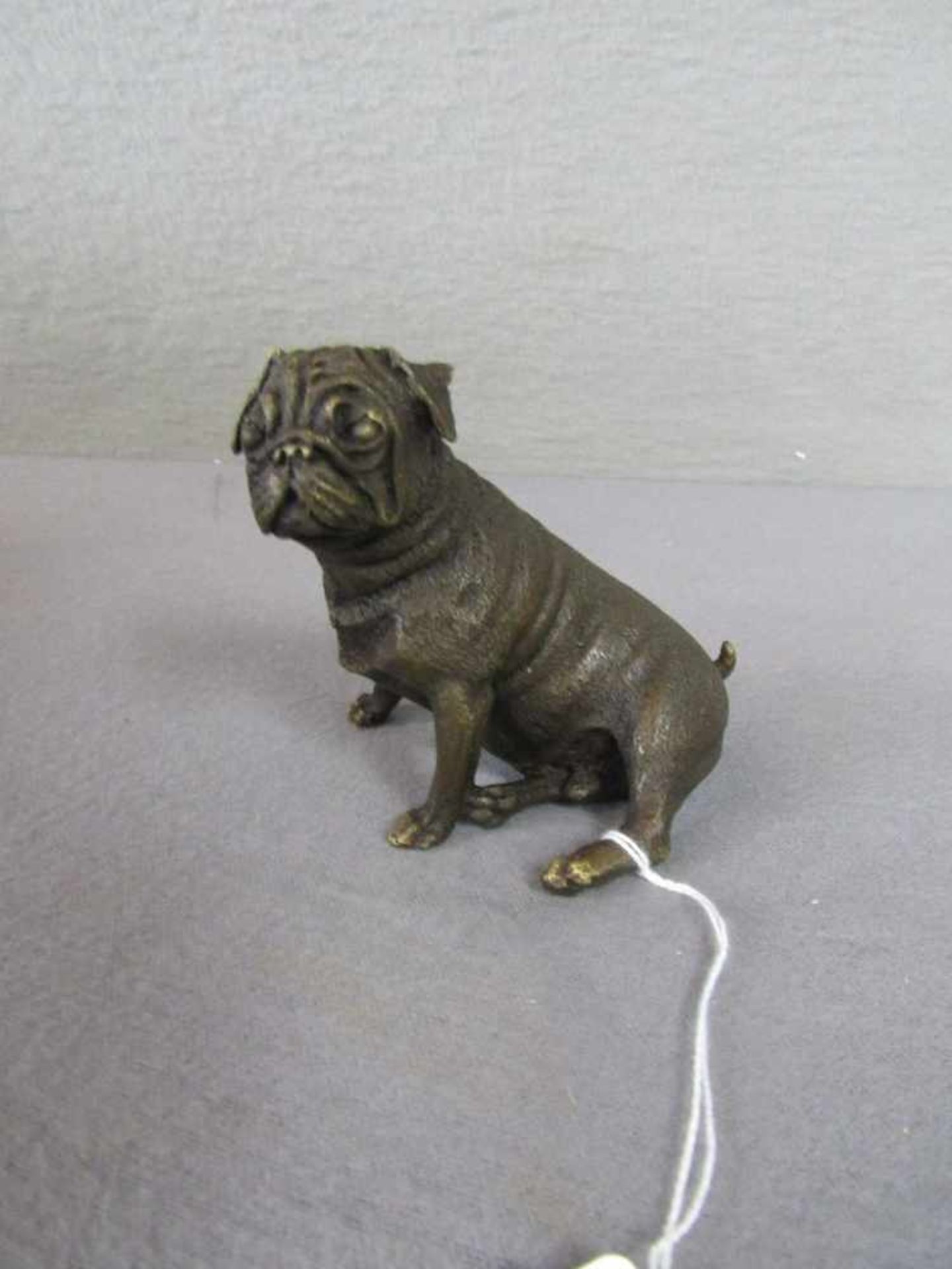 Bronzeskulptur sitzender Mops plakettiert 8,5cm hoch- - -20.00 % buyer's premium on the hammer